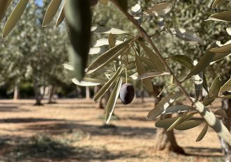 CHRISTIANQUARTER_8632